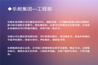 天津写项目资金管理实施细则公司 成功案例 河南乐朗企业管理咨询有限公司